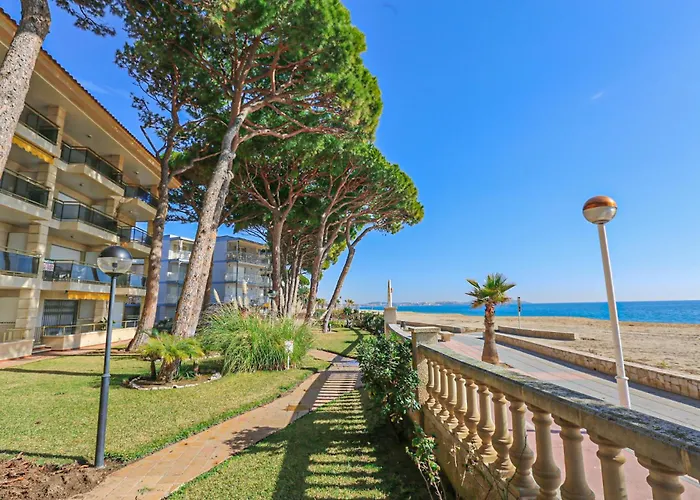 Versalles - Only Families