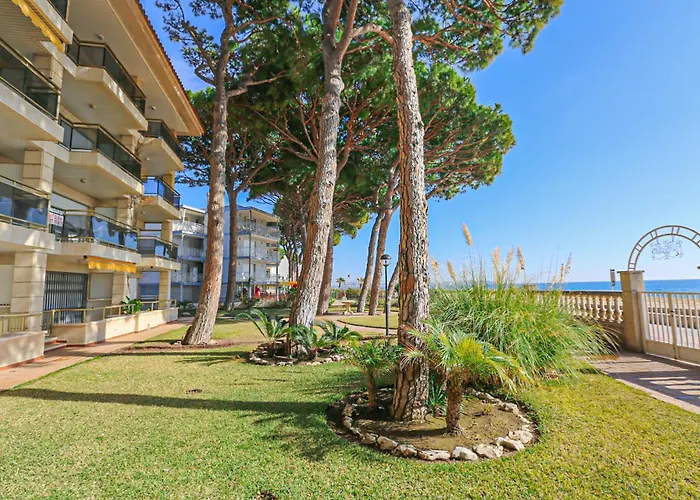 Versalles - Only Families *