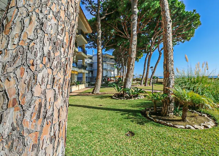 Appartement Versalles - Only Families