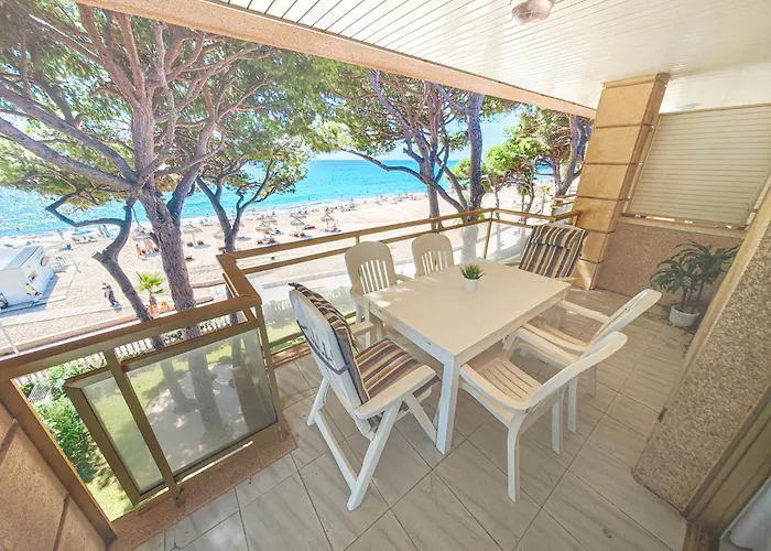 Versalles - Only Families *